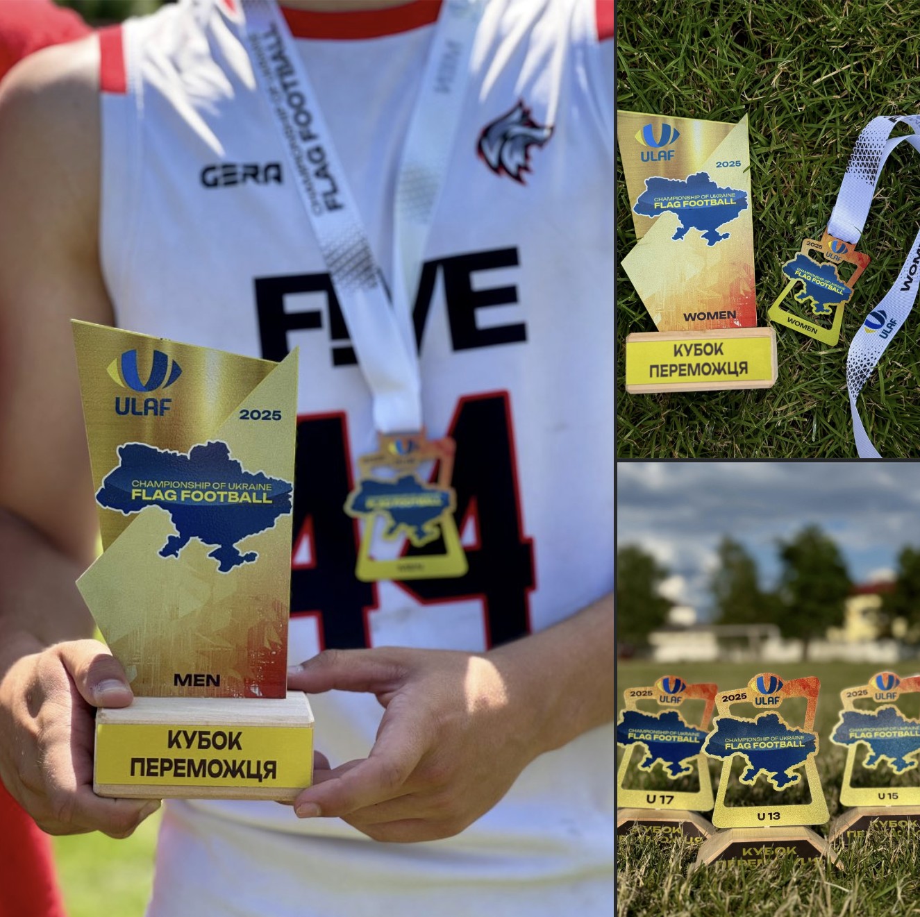 Чемпіони України